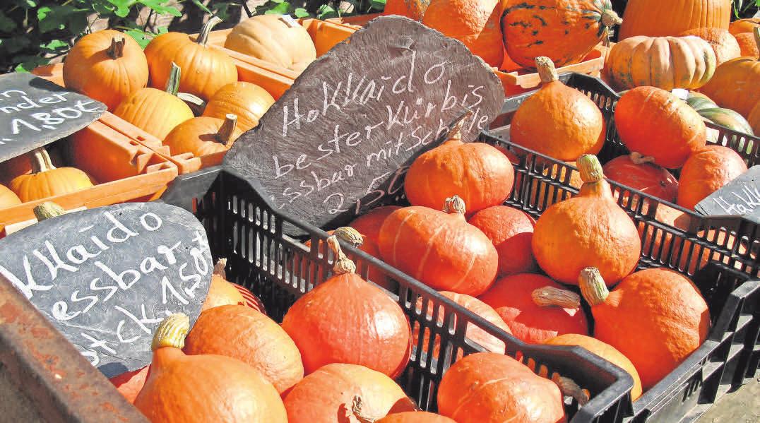 Der Herbst offenbart viele kulinarische Höhepunkte – Landwirt Jens Grastorf bietet eine große Auswahl an-2