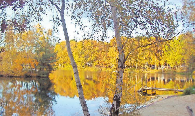Der Herbst am Springhorstsee ist Gänsezeit-3