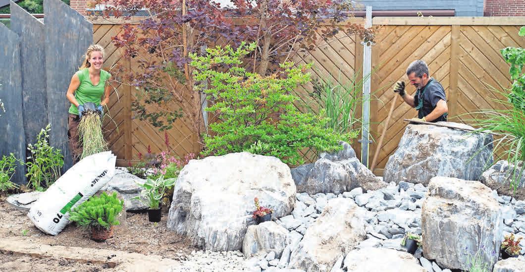 Ronald Hormann aus Burgdorf sucht Gärtner für Gartenpflege