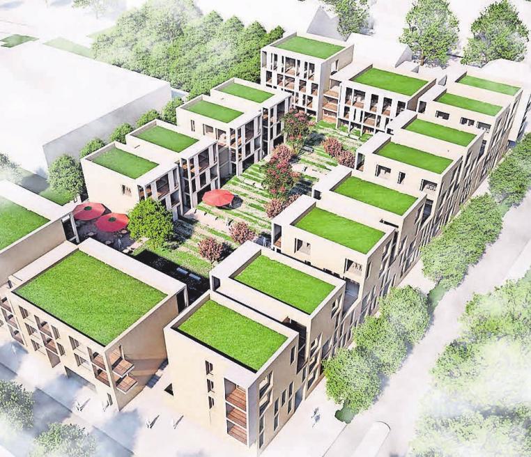 Frank Wersebe vom Lehrter Wohnungsbau will im „Gartenquartier“ kostengünstiges Wohnen ermöglichen-2