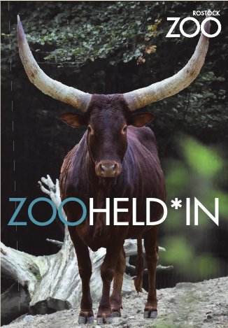 Zooheldin oder Zooheld des Rostocker Zoos: Verzichten und damit den vielen Tieren helfen-2