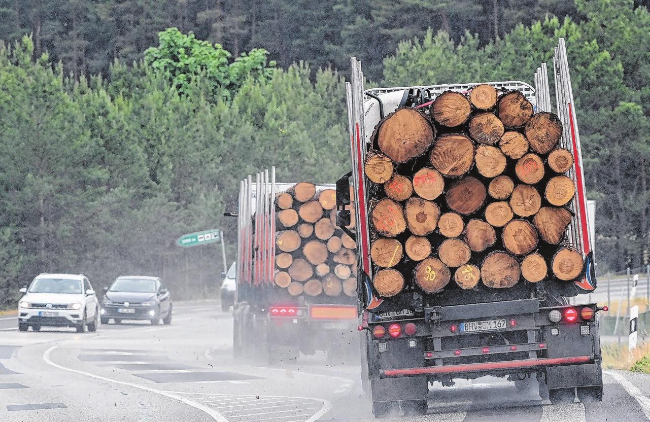 Holzbau und Zimmerer-Innung: Zu wenig Bauholz? Im Landkreis Reutlingen kein Thema-3