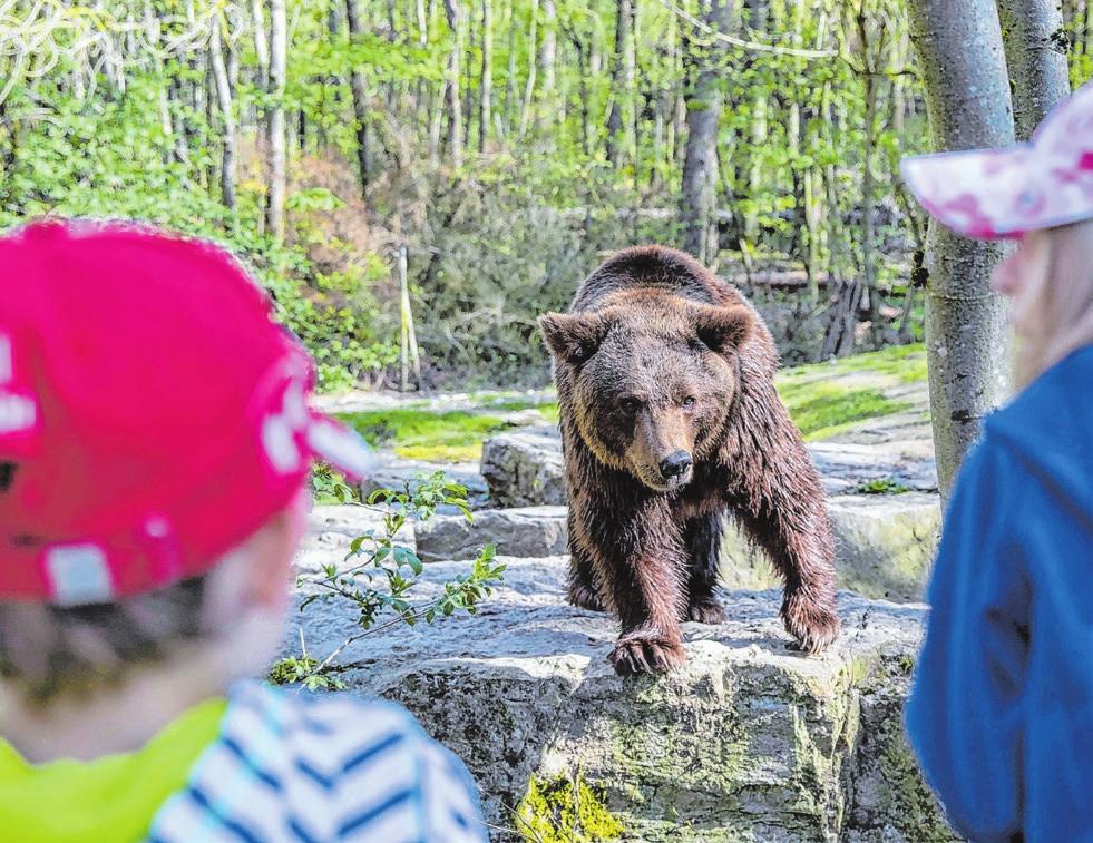 Haller Freizeittipps zu Weihnachten: Kühne Artisten, scheue Tiere-2