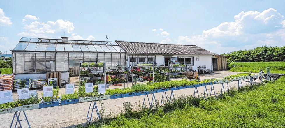 Steinbacher Bioladen Kleincomburg: Frische Waren und kurze Wege-2