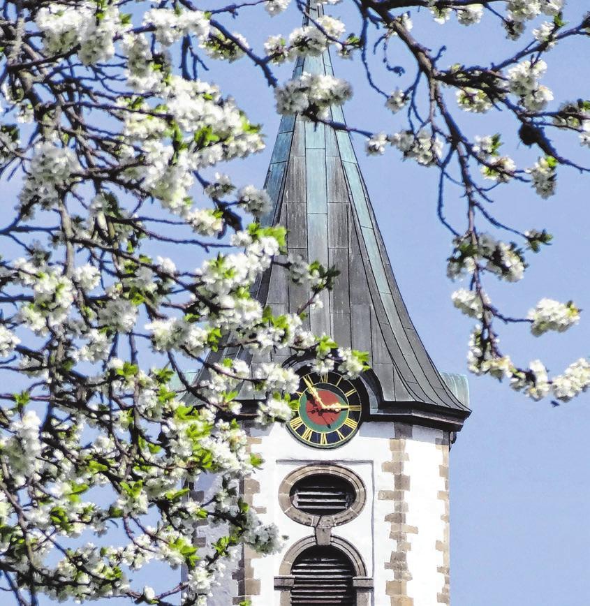 Pfullinger Gewerbe- und Handelsverein: Der Lenz ist da, die Stadt blüht auf-2