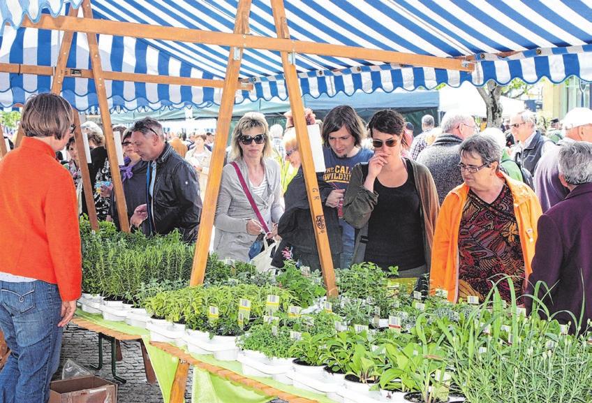 Frühlingserwachen in Dettingen: Ein Fest für die ganze Familie-3