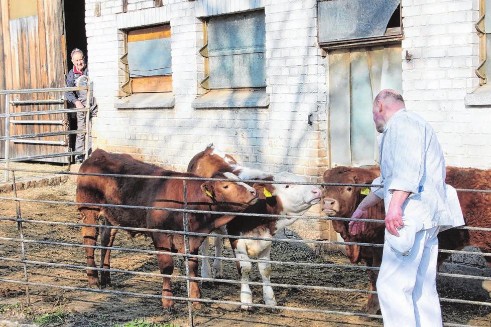 Rosengarten-Uttenhofen: Qualität direkt vom Hof der Landmetzgerei Hartmann-3