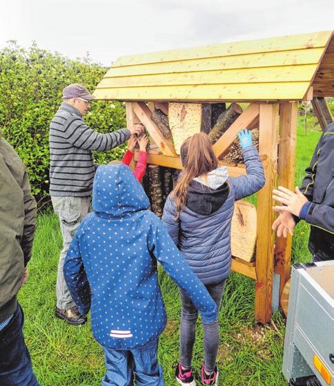 Arbeitsgruppe Artenvielfalt: Mähringen wird noch grüner, so Ortsvorsteher Wegerer-2