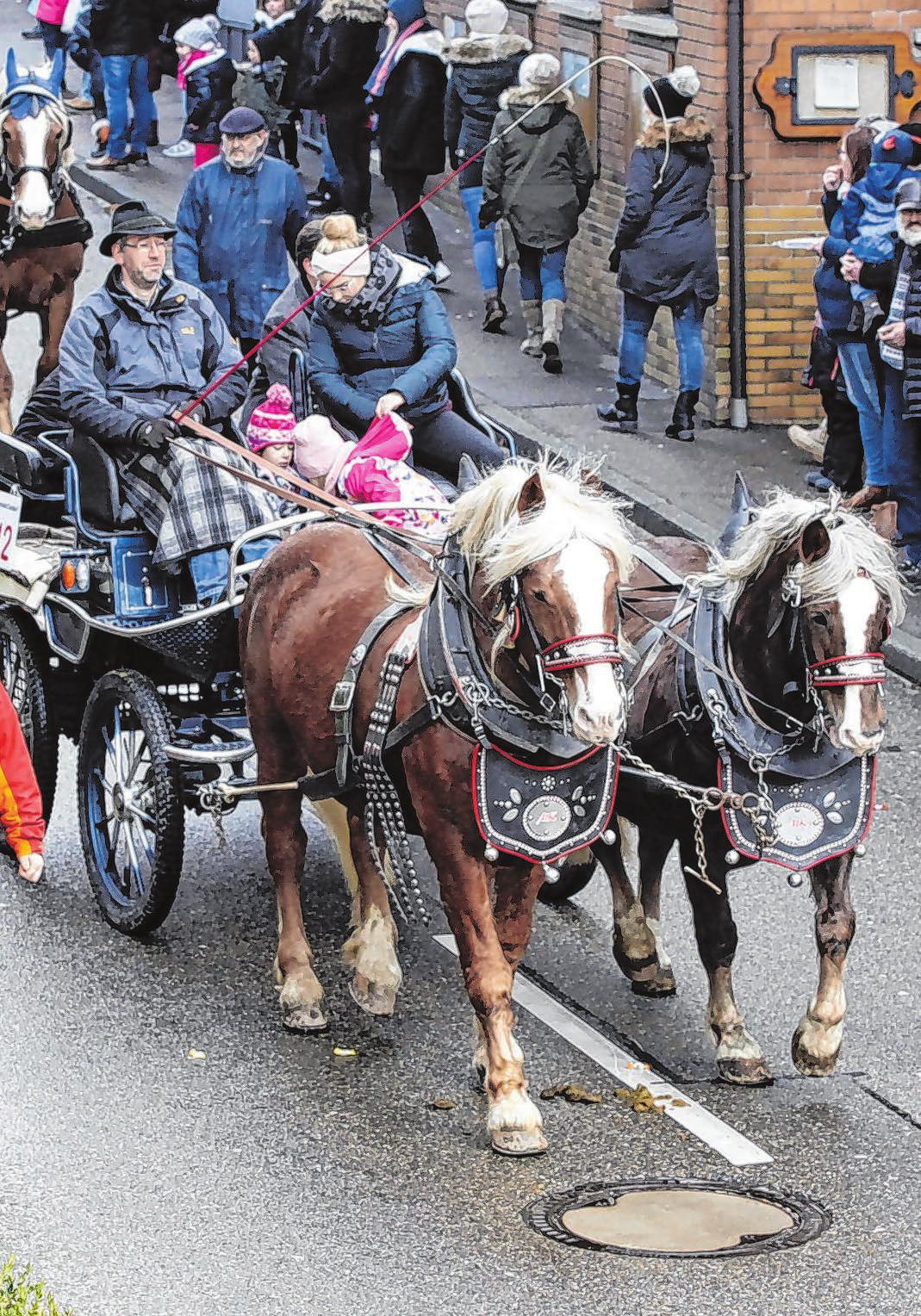 Mit dem Bus in die Innenstadt-3