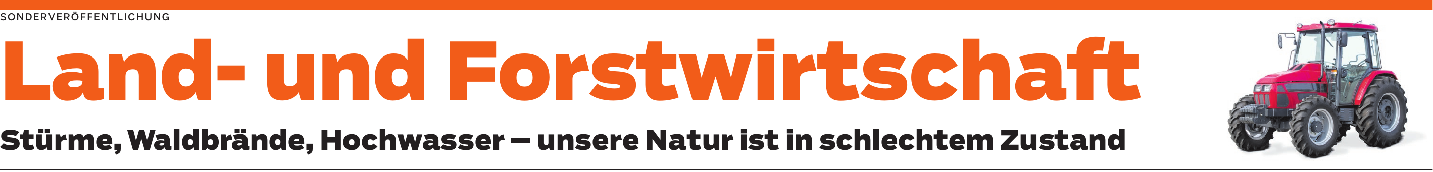 Klimastabilere Wälder müssen geschaffen werden