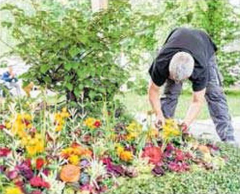 Gedenken in Stein verewigt-2