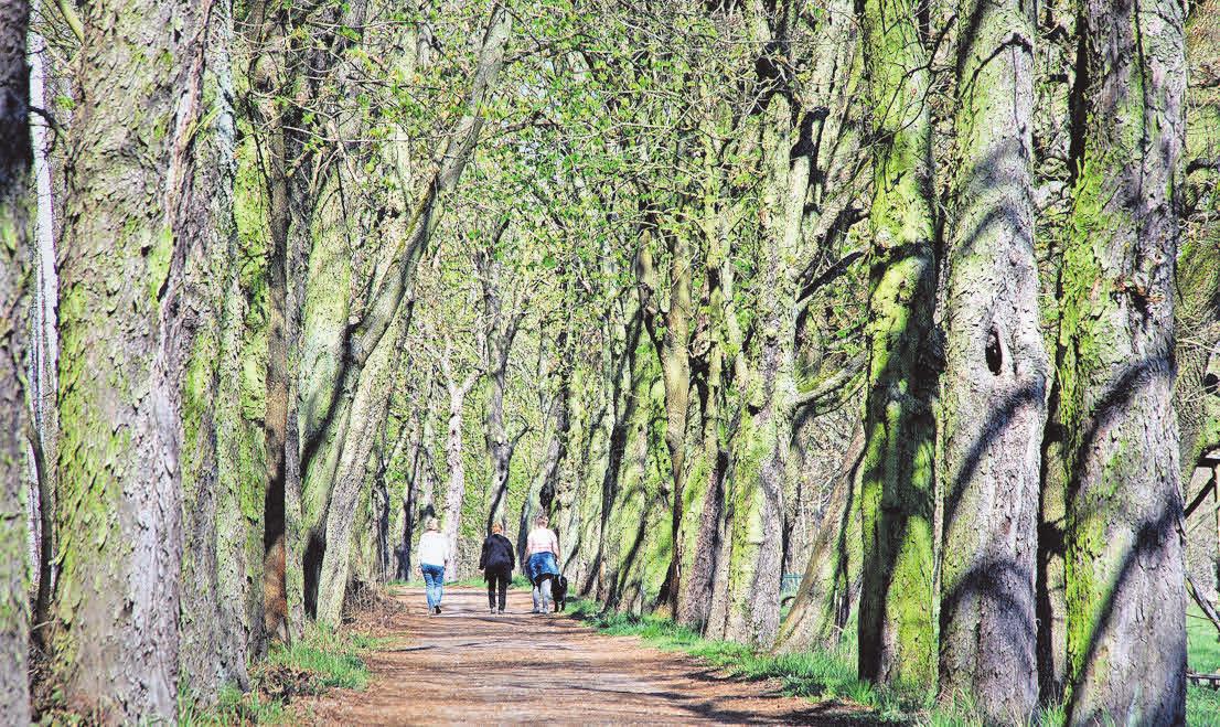 Zehn Ausflugstipps in Oschatz und der Region - Leipziger Volkszeitung