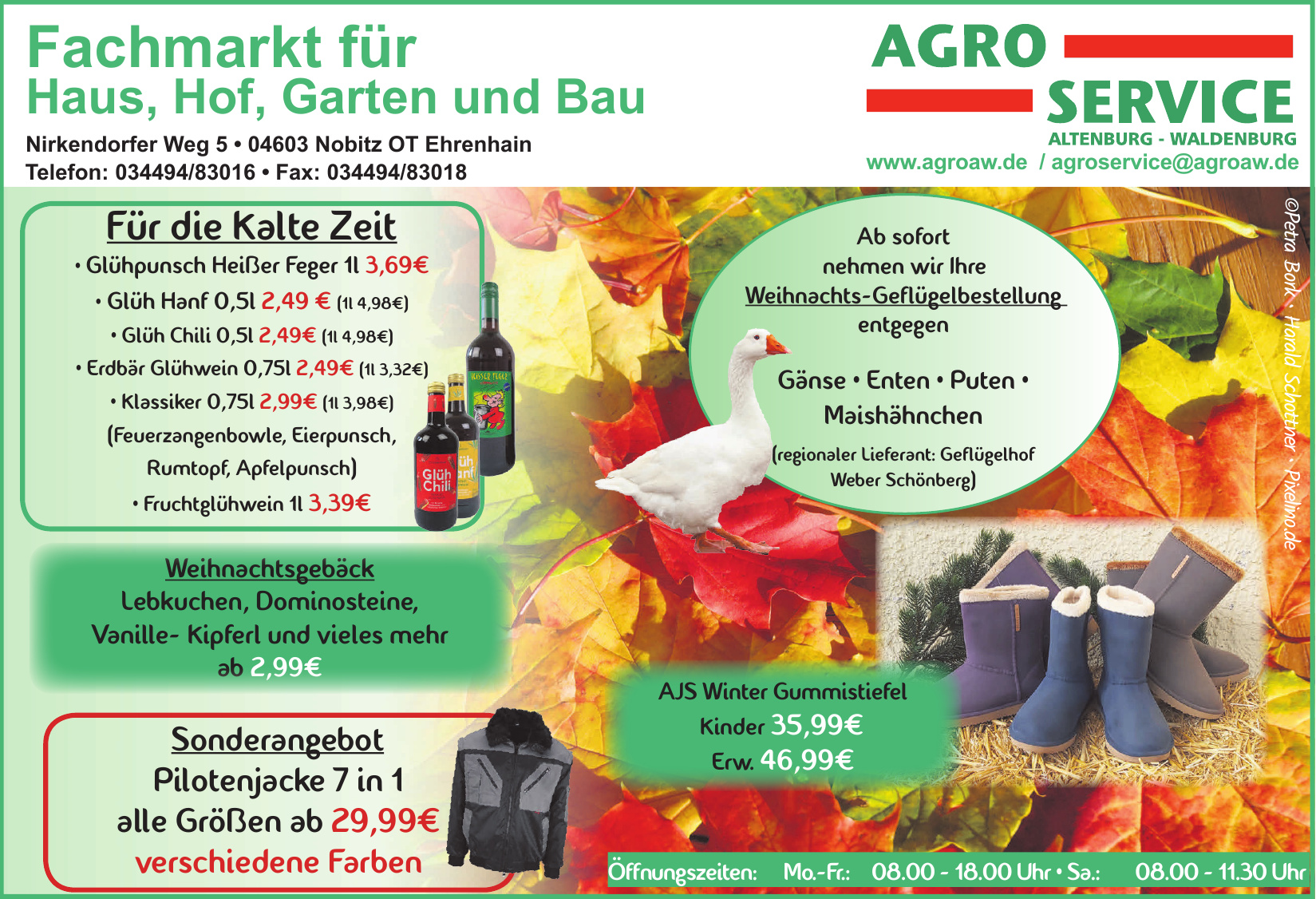 Kreativität gefragt: Neue Runde für die beliebte Aktion „Tolle Tanne ...