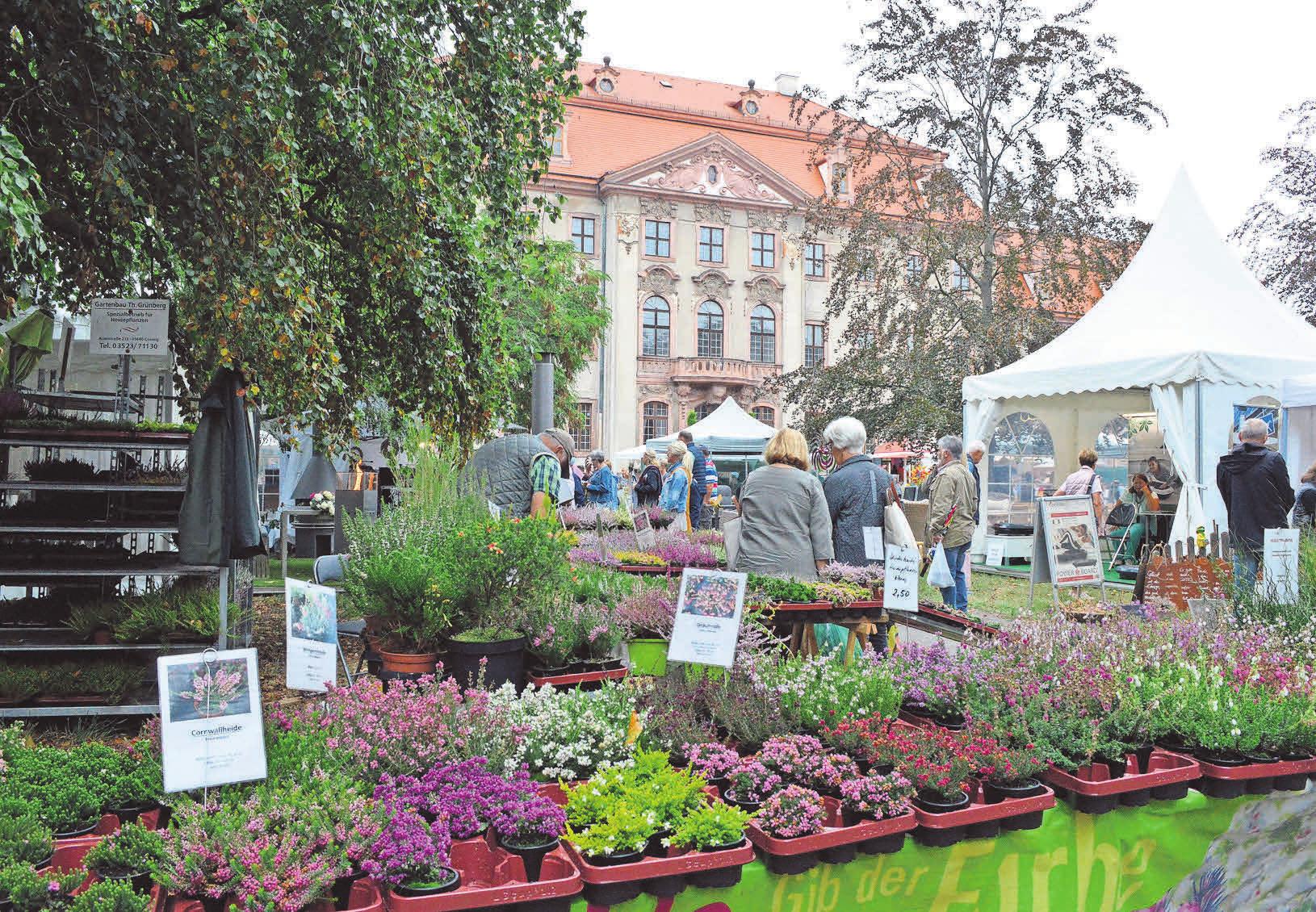 Gartenmesse LebensArt Schlosspark Brandis Kevin Holstein Leipziger