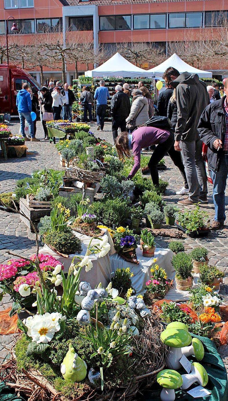 Blütensonntag in Lahr -2