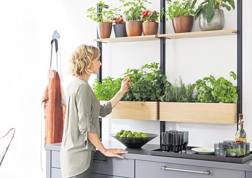 Nachhaltigkeit beginnt in der Küche-3