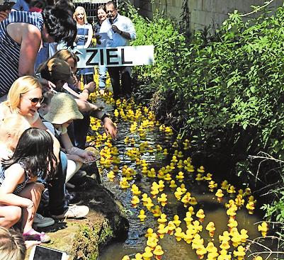 Zarte Blüten, feste Mauern-2