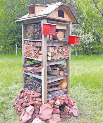 Ohne bienen - Ohne uns! Aktiver Artenschutz betrifft uns alle-2