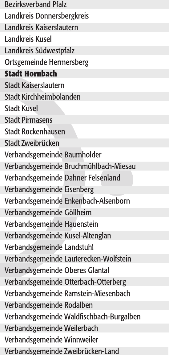 10 ZukuftsRegion Westpfalz e.V.-19