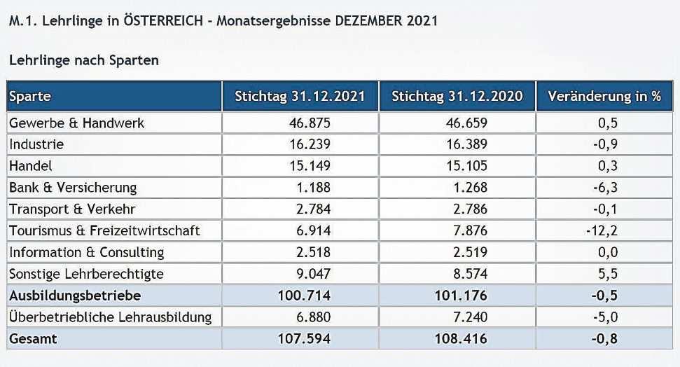 Den Österreichischen Lehrstellenmarkt im Fokus: AMS-Zahlen für 2021-3