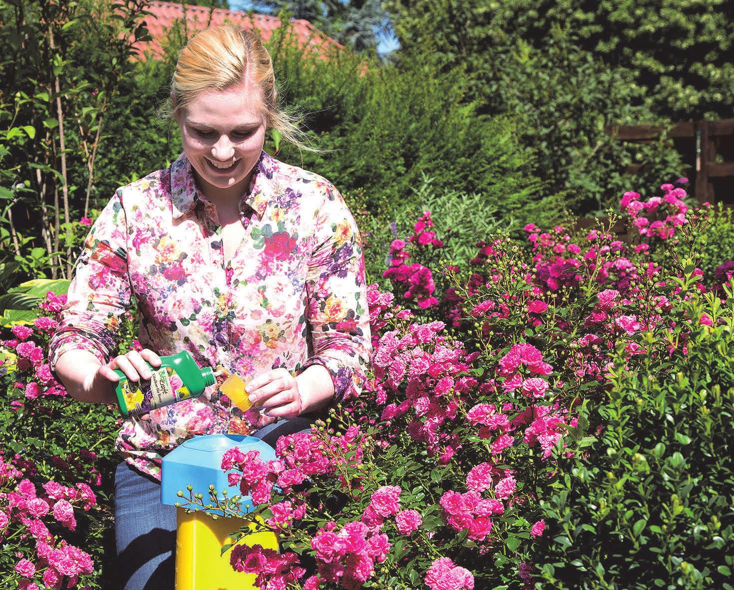 58+ Garten Kleine Oasen Schaffen 8X2 50M, Beispiele zeigen hier