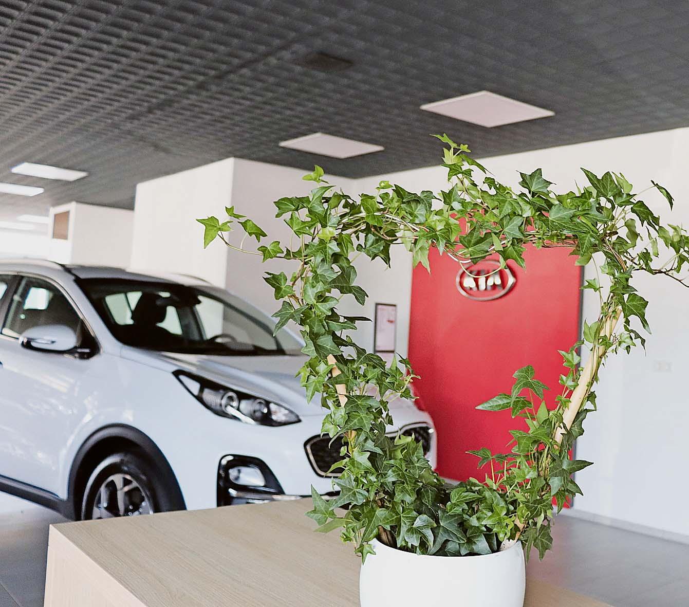 Direkt Ab Wittlich: Jetzt Ihr Perfekter Kia Vorführwagen Finden! - 7609c1j