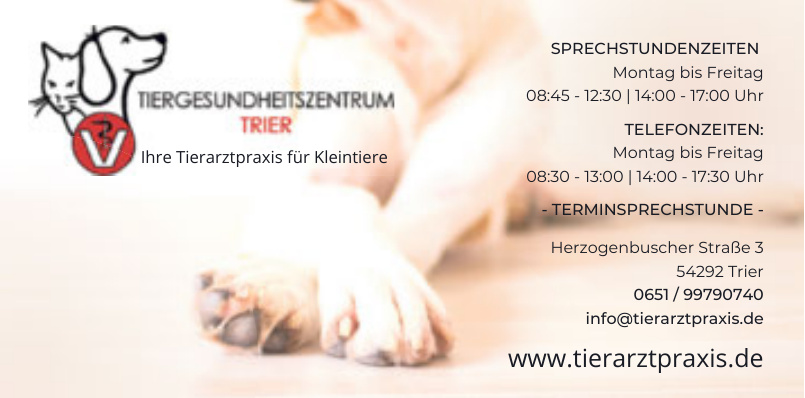 Tierheim Trier-Zewen & Altrich:Hunde/Katzen zum Adoptieren