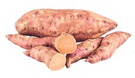 Neu: Heimische Süßkartoffeln-2