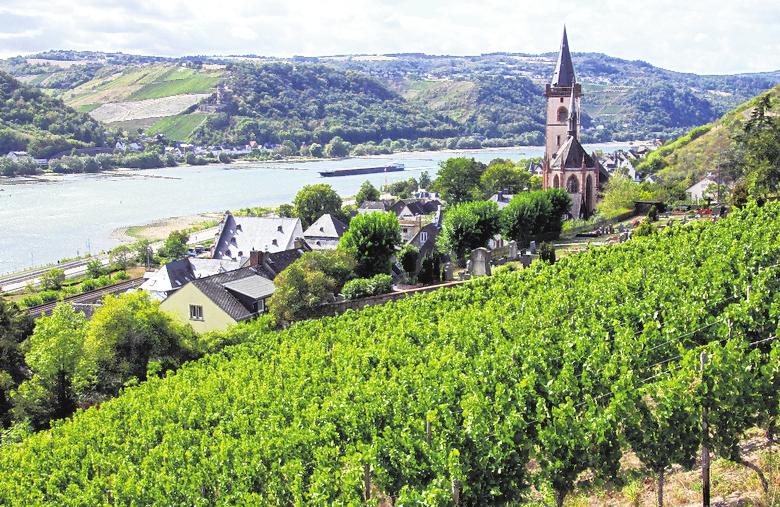 Lorch a.Rhein: Wanderprojekt Wisper Trails mit Wanderführer - MPO