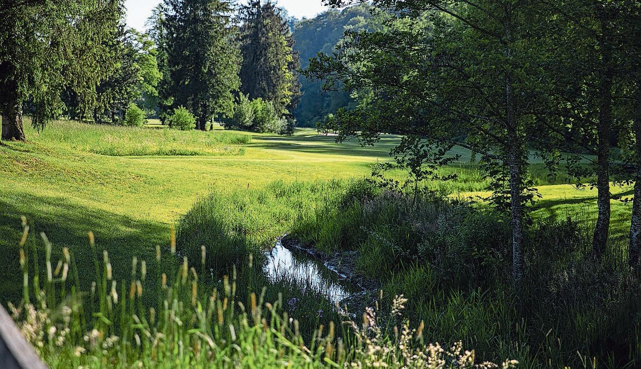 Golfen soll nachhaltiger werden-5