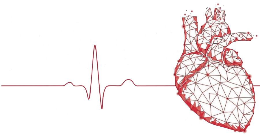 Kardioversion – „Reset“ für das kranke Herz