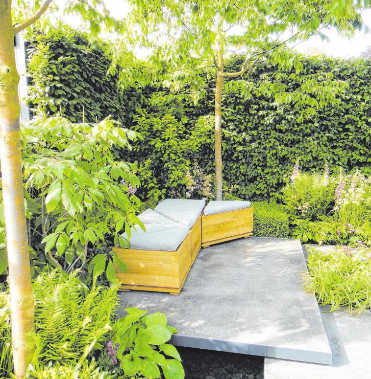 Kleiner Garten, grosse Wirkung Siegener Zeitung