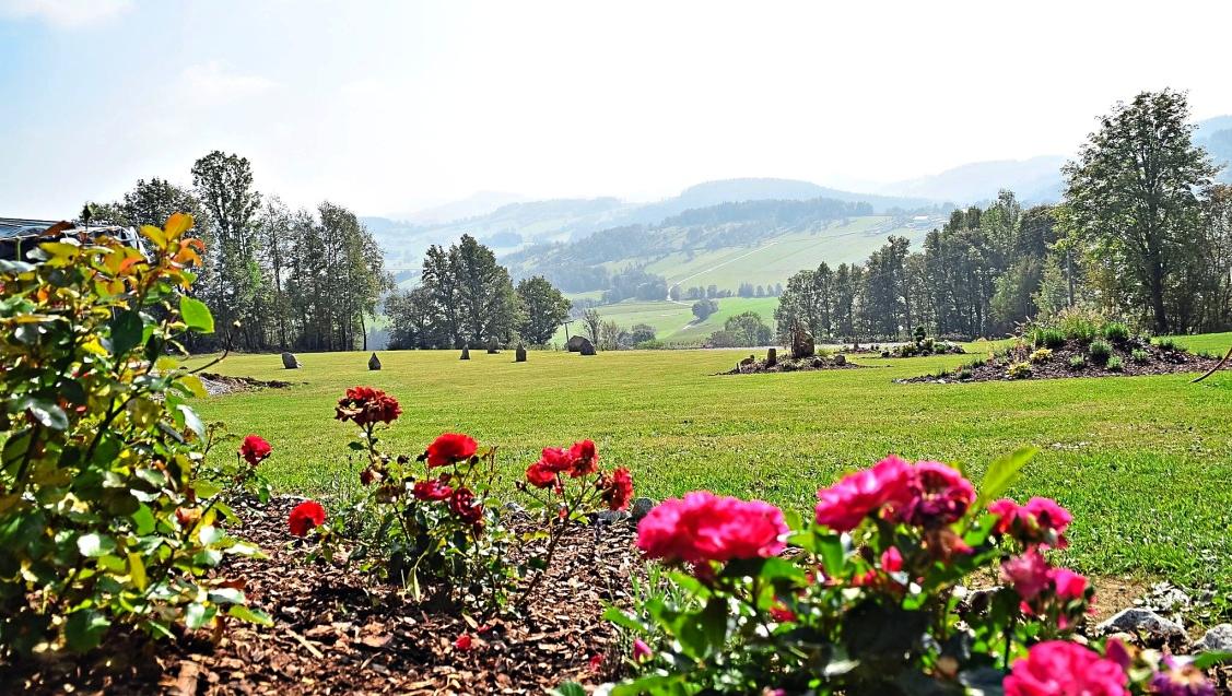 Neuer Naturfriedhof Grainet in herrlicher Lage-2