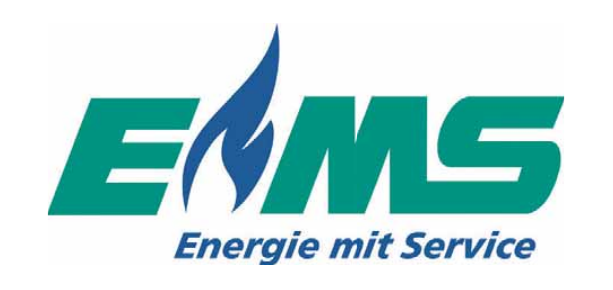Erdgas Mittelsachsen GmbH-4