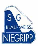Landesliga - Blau-Weiß Niegripp: Jedes Wochenende ein Finale-4