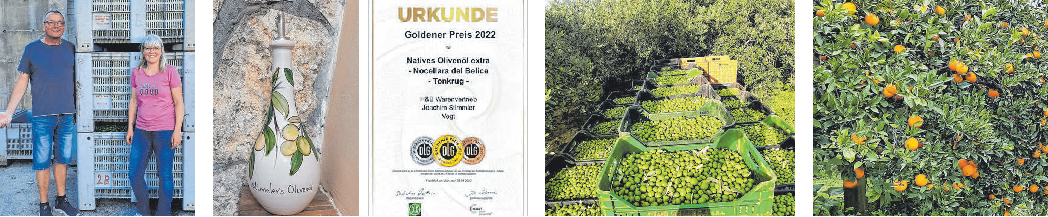 H&B Verkauf in Vogt/Untereschach: Bio-Früchte von Stimmler in top Qualität