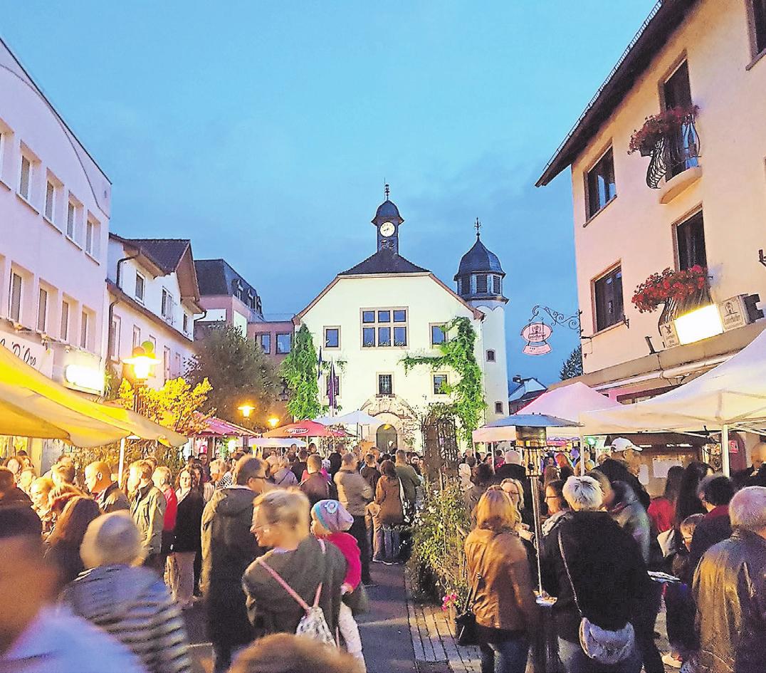 Ein Stück Heimat in Schlüchtern-2