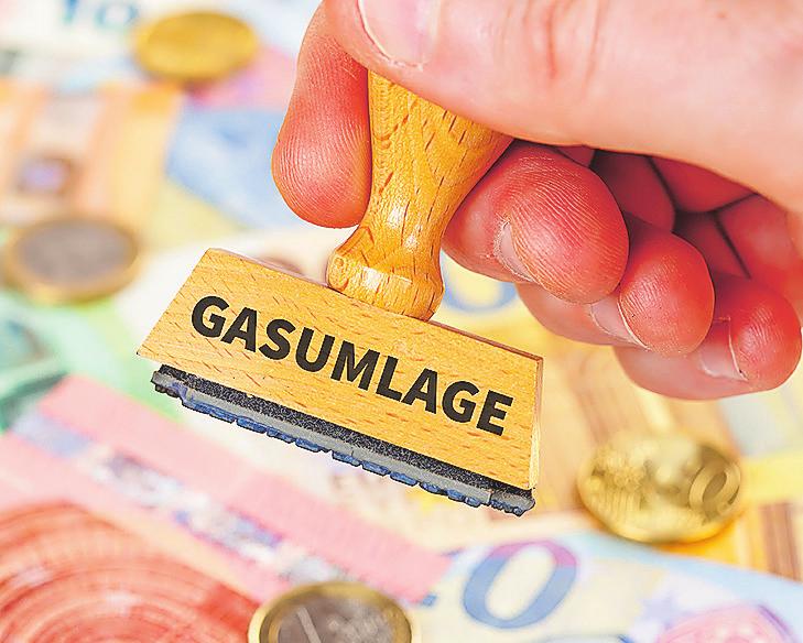 Experten sehen die anvisierte Gaspreisdeckelung für Unternehmen und industrielle Verbraucher kritisch-2