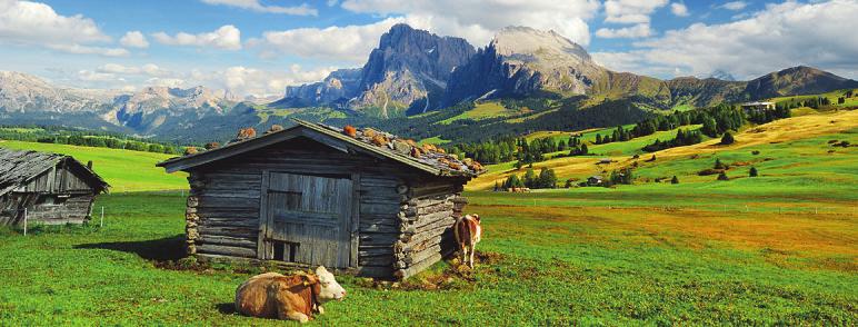 Erleben Sie einen goldenen Herbst mit Voyages Emile Weber-4