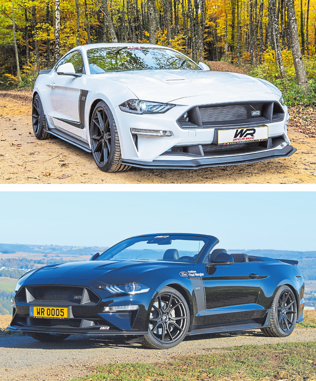 Ford Mustang WR Edition Spec 1-3