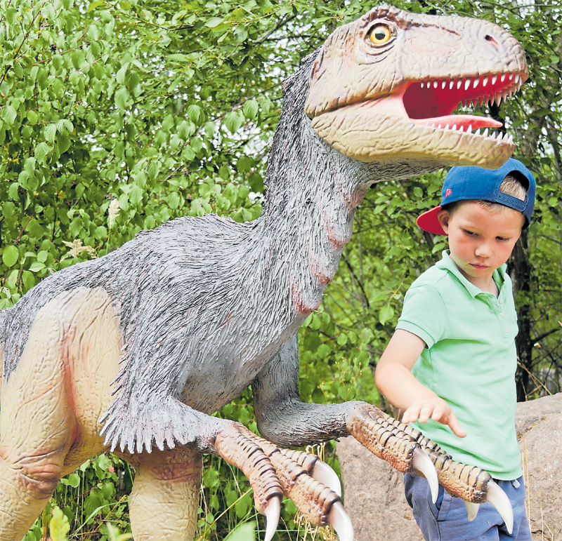 Neuer Acht-Meter-Gigant im Dinopark Eifel-2