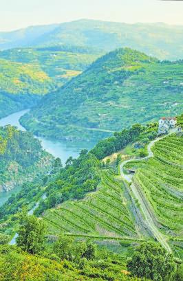 Douro-Tal an Bord der Queen Isabel-2