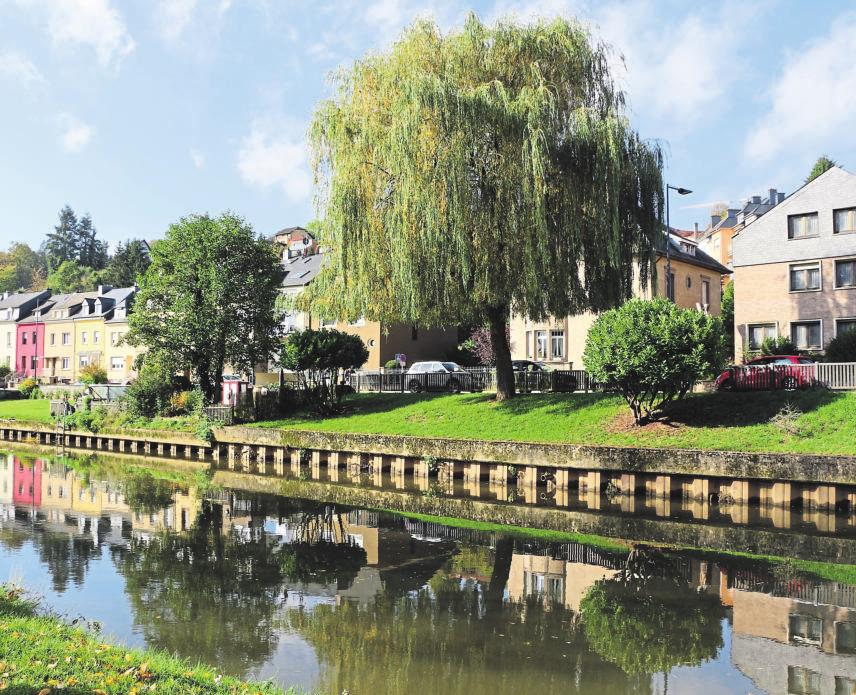 Die Stadt am Fuße der Ardennen-4