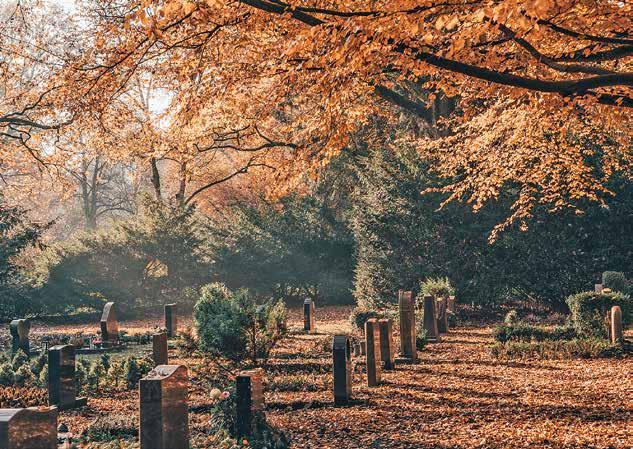 Was ist auf dem Friedhof erlaubt?-2