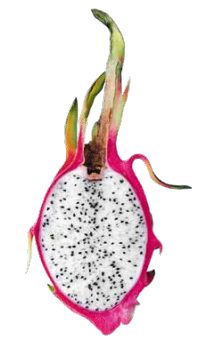 Erfrischend-fruchtig - Die vergessene Frucht – Pitaya-2
