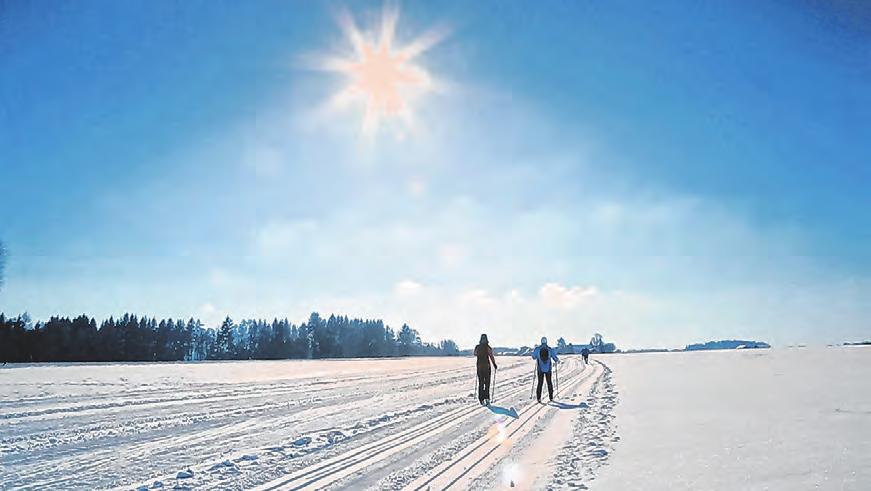 Zauberhafte Winterwelt-2