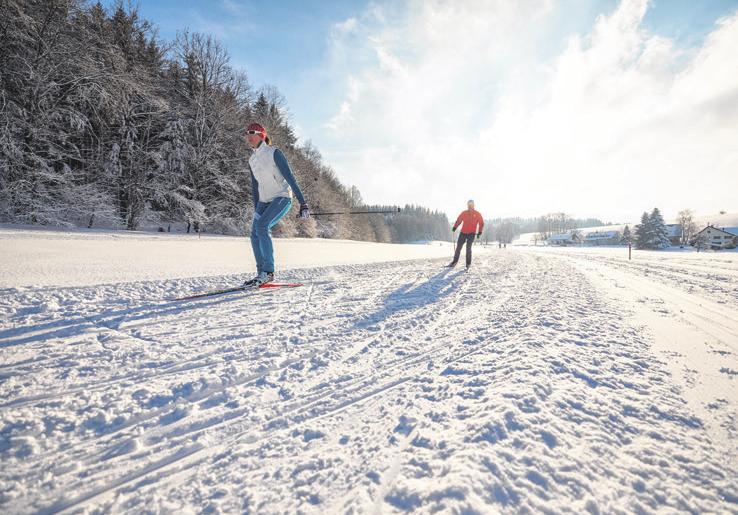 Leise rieselt der Schnee-2