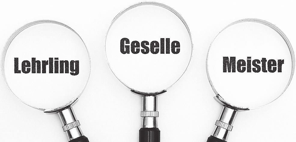 Den Meister machen PforzheimerZeitung