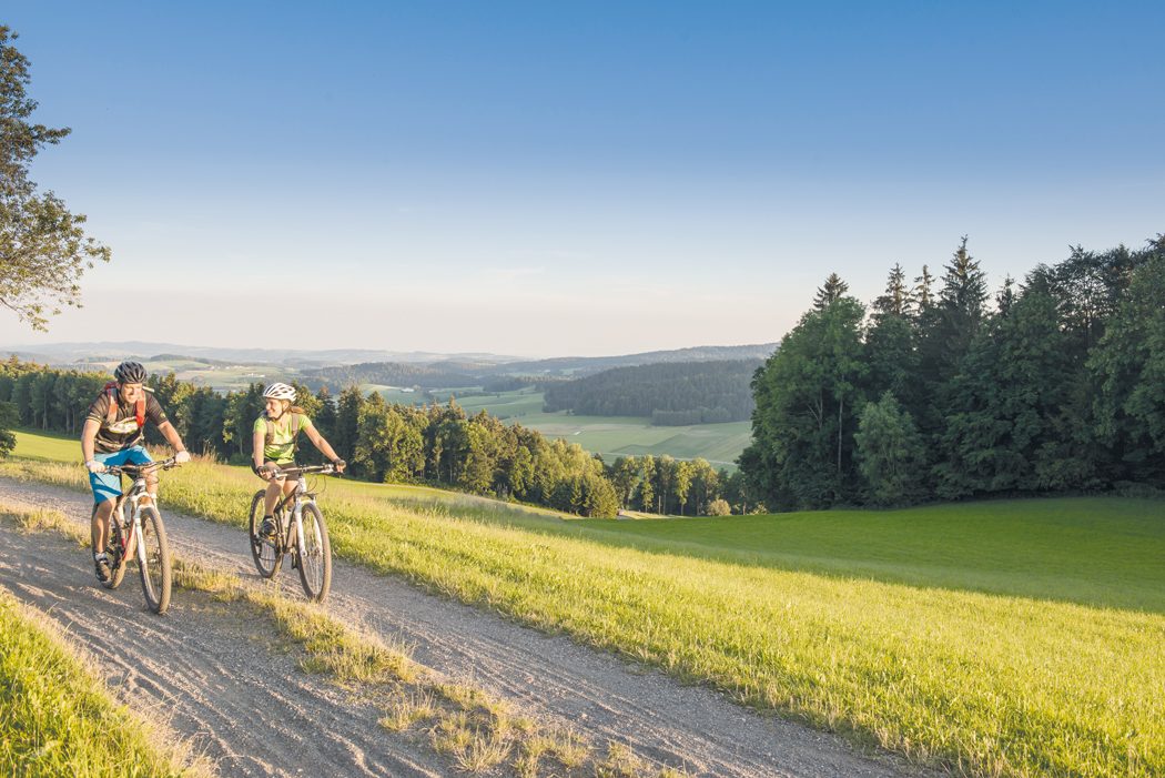 Erholung unter dem grünen Dach Europas-2