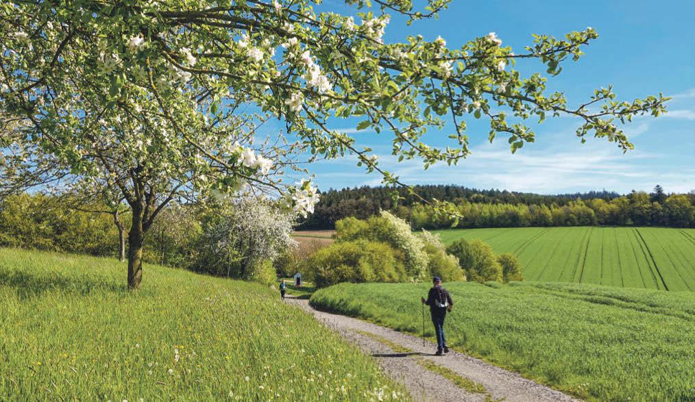 Erholung und Kultur in Bad Birnbach und Bad Reichenhall-7